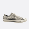 Converse Chuck Taylor All Star OX Low Top